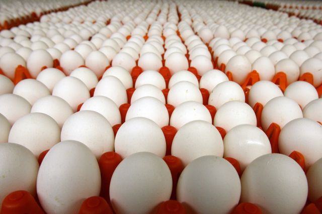 كارثة صحية - سحب الملايين من البيض من الأسواق.. والسبب صادم!!