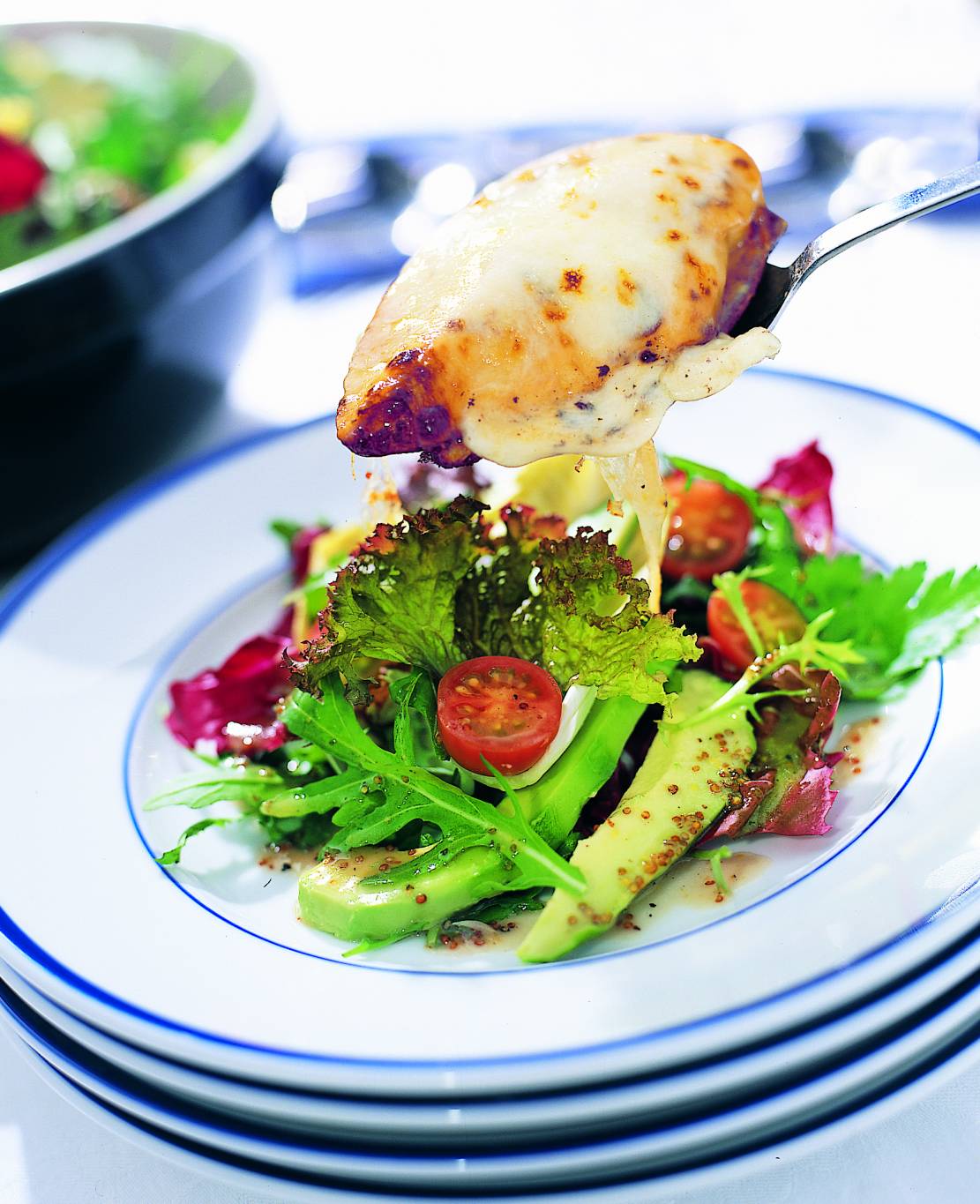 سلطة الدجاج والموزاريلا والأفوكادو