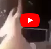 بالفيديو - عروس مصرية تشغل العالم...شاهدوا كيف رقصت بـ